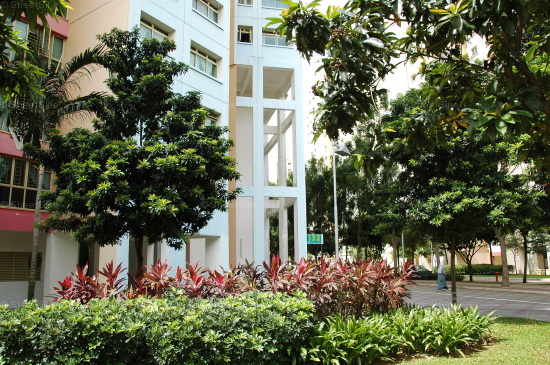 Edgedale Plains thumbnail photo